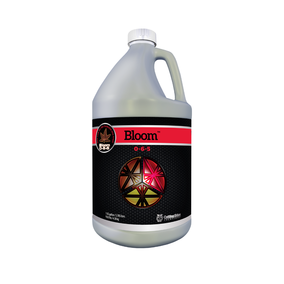 Cutting edge solutions bloom - Image 4