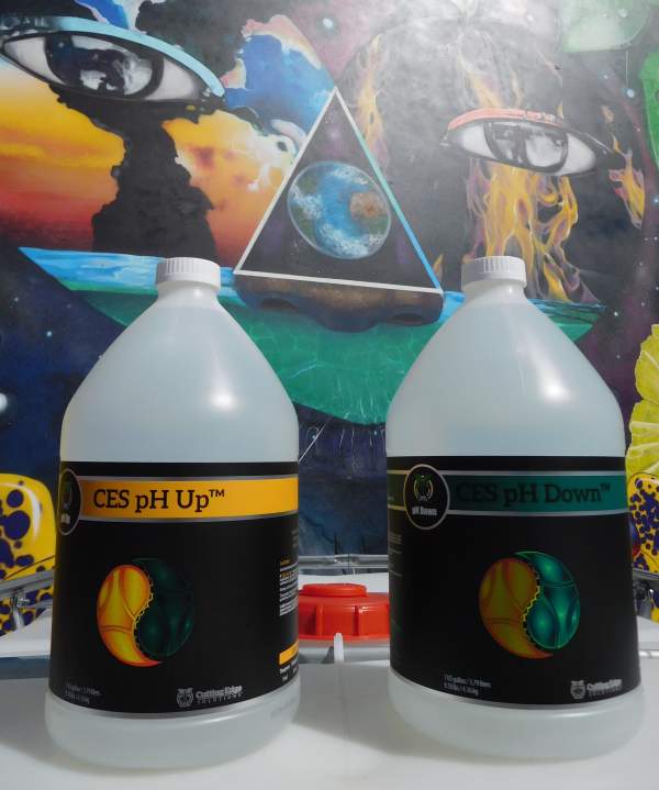 Bottles of CES pH Up and pH Down