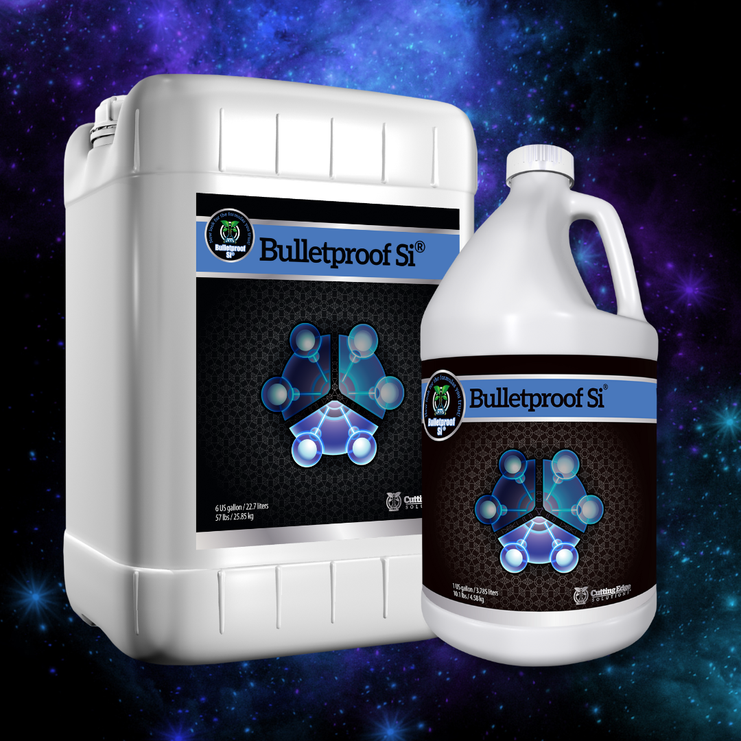 Collection of Stronger Starts Here: The Power of Silica with Bulletproof SI® in a gallery layout