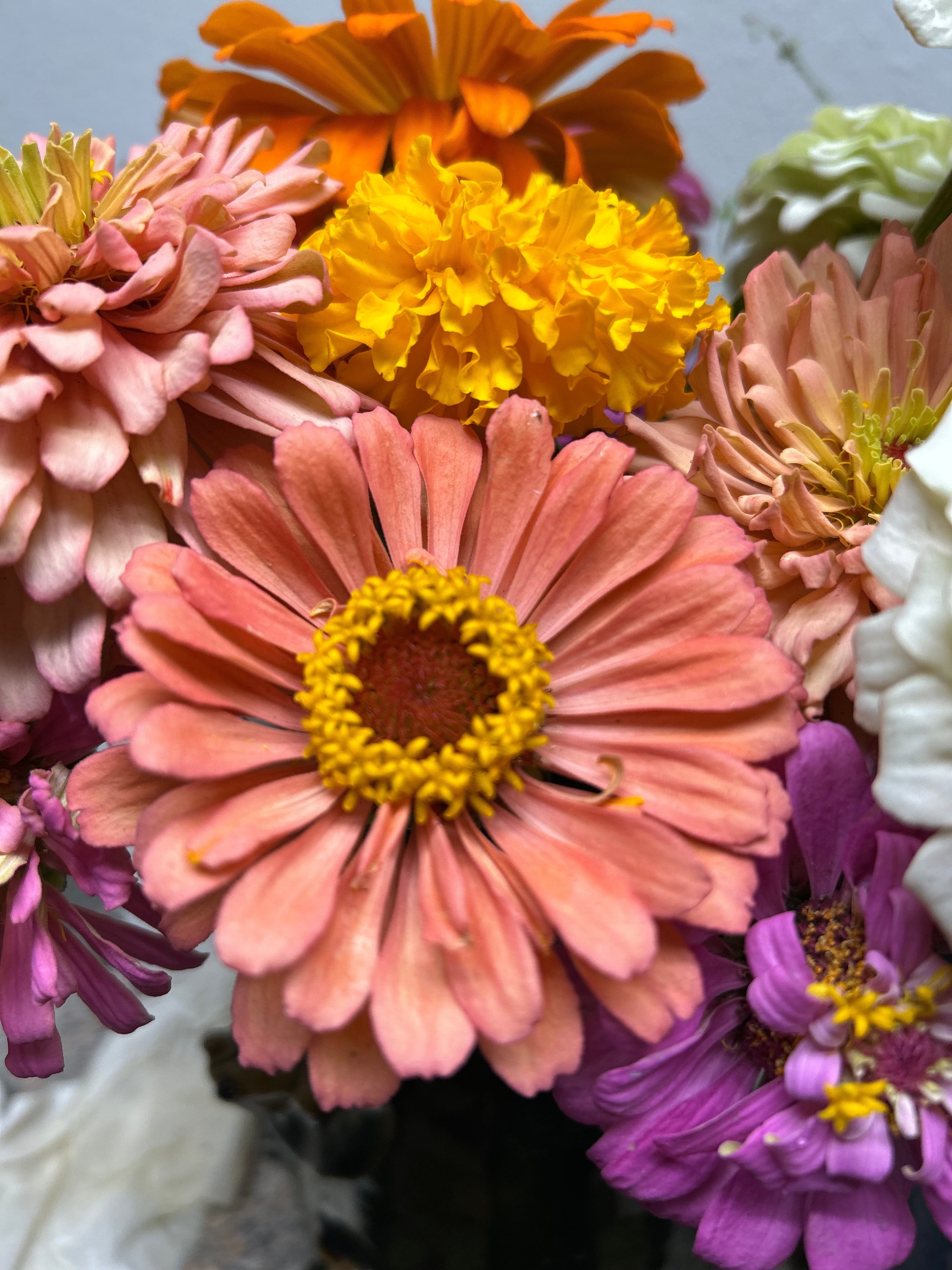 Collection of End of Summer Reset: Getting the Most from Your Mid-Cycle Plants in a gallery layout