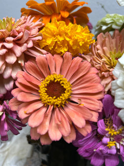 Collection of End of Summer Reset: Getting the Most from Your Mid-Cycle Plants in a gallery layout