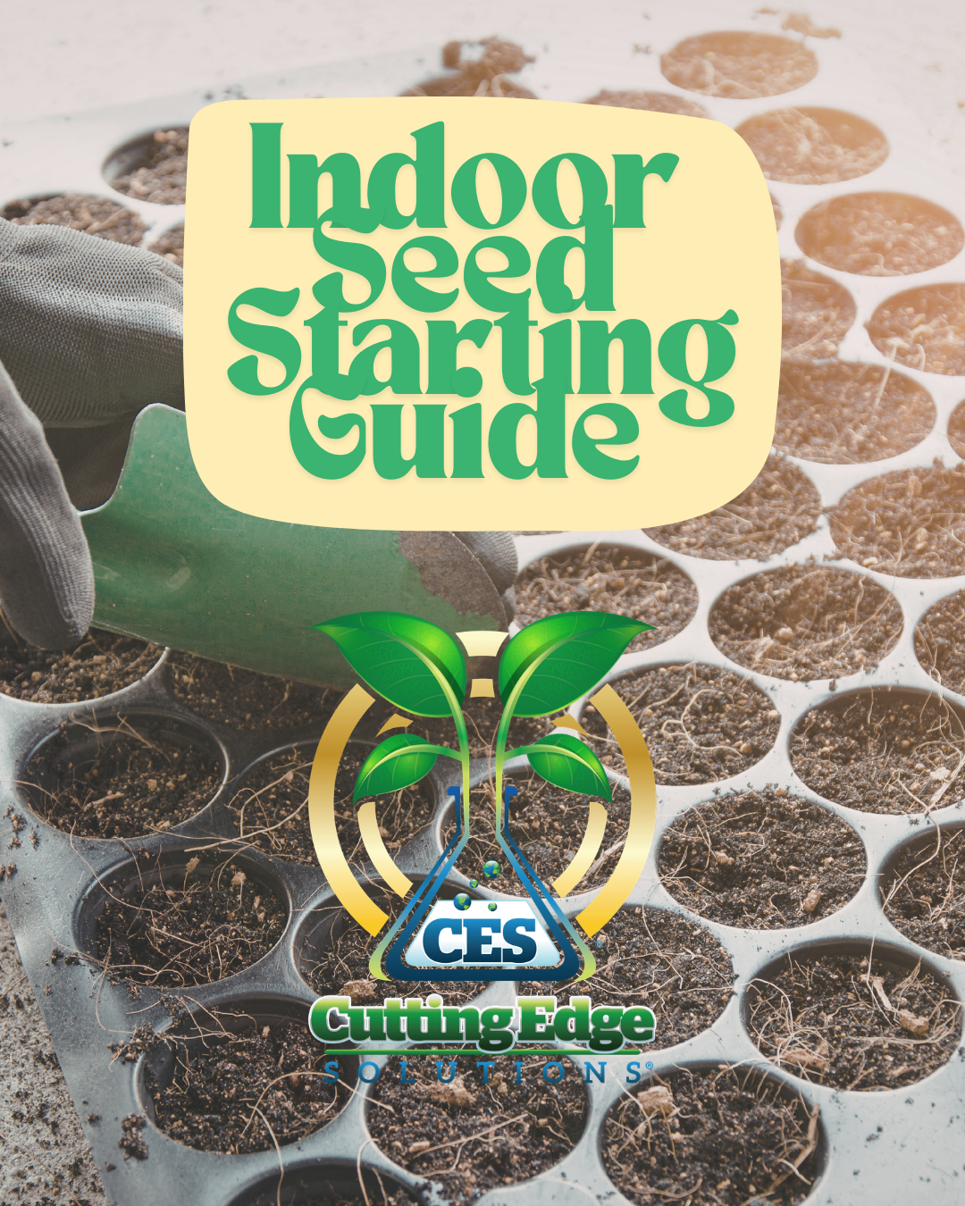Indoor Seed Starting Guide Cutting Edge Solutions