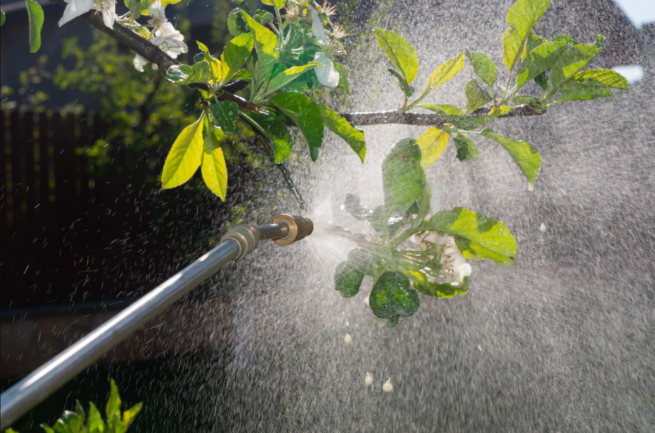 Collection of Foliar Feeding: Fast, Direct Nutrition for Rapid Plant Response in a gallery layout