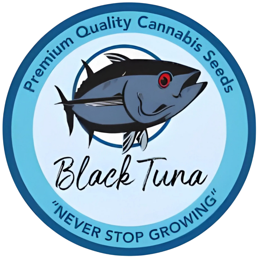 Collection of  in a gallery layout