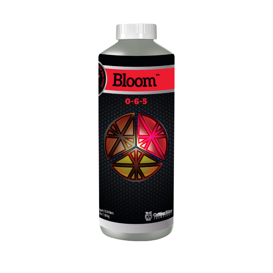 Cutting edge solutions bloom - Image 5