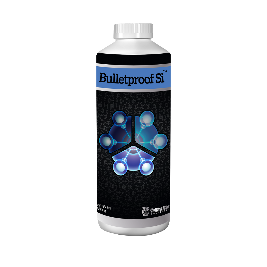 Collection of Bulletproof SI™ in a gallery layout