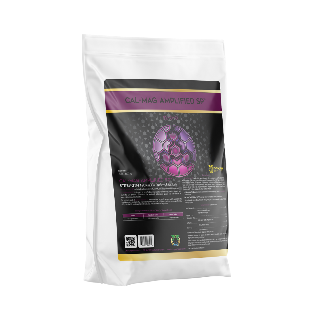 Collection of  in a gallery layout