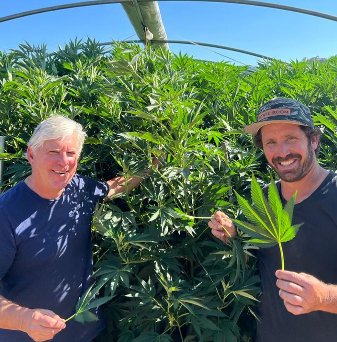 Collection of  in a gallery layout