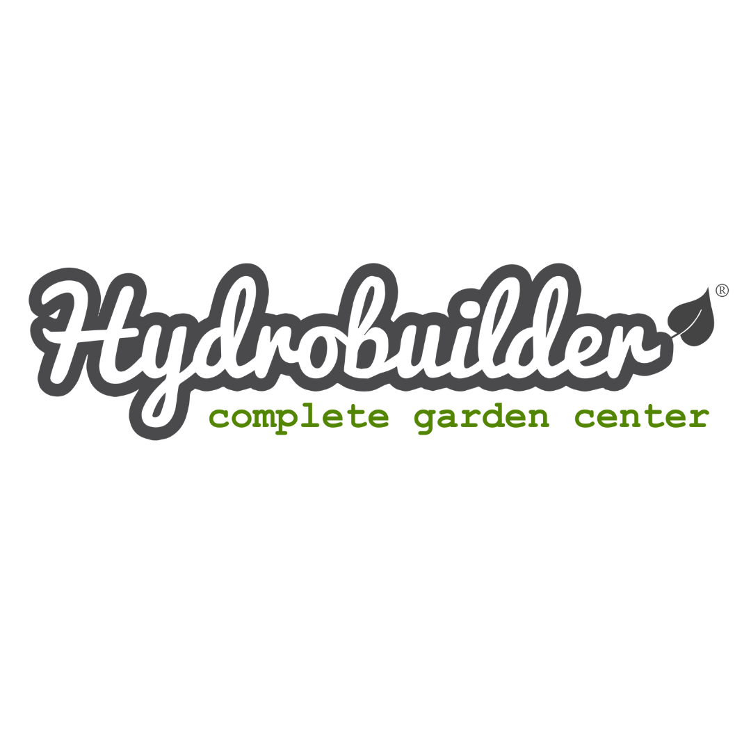 Collection of  in a gallery layout