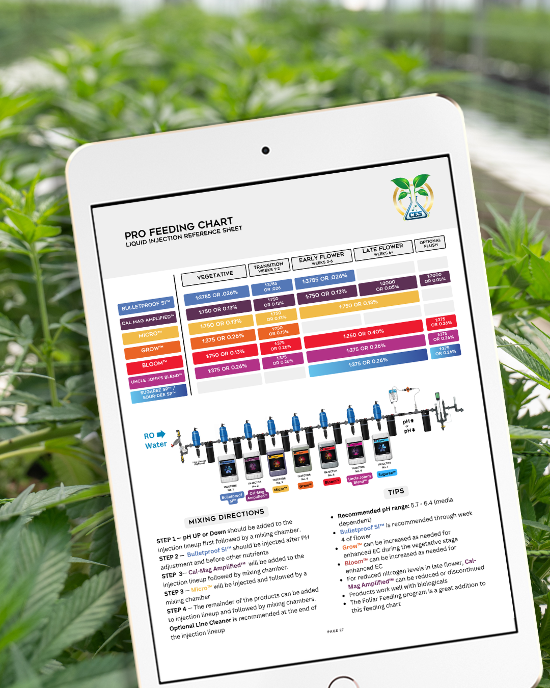 Collection of  in a gallery layout