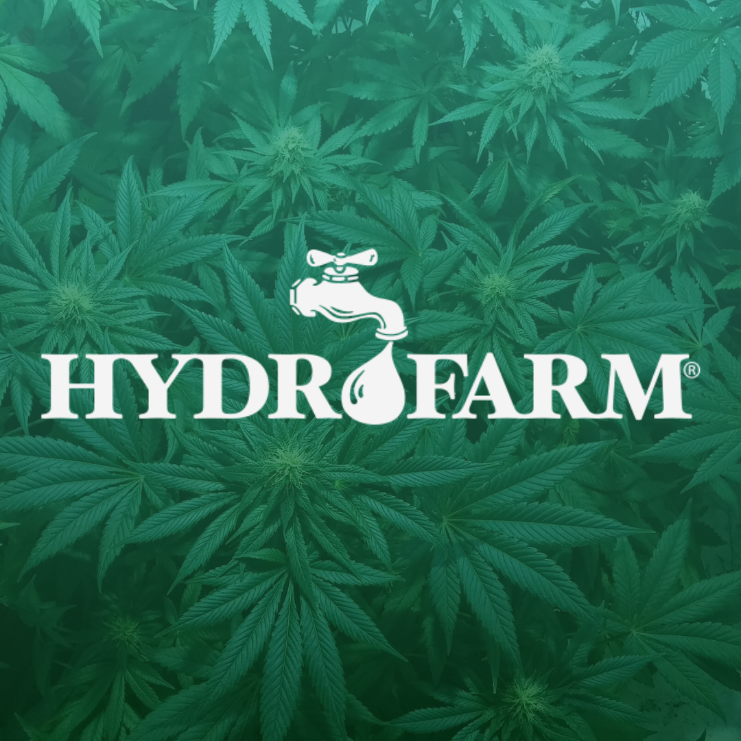 Collection of  in a gallery layout