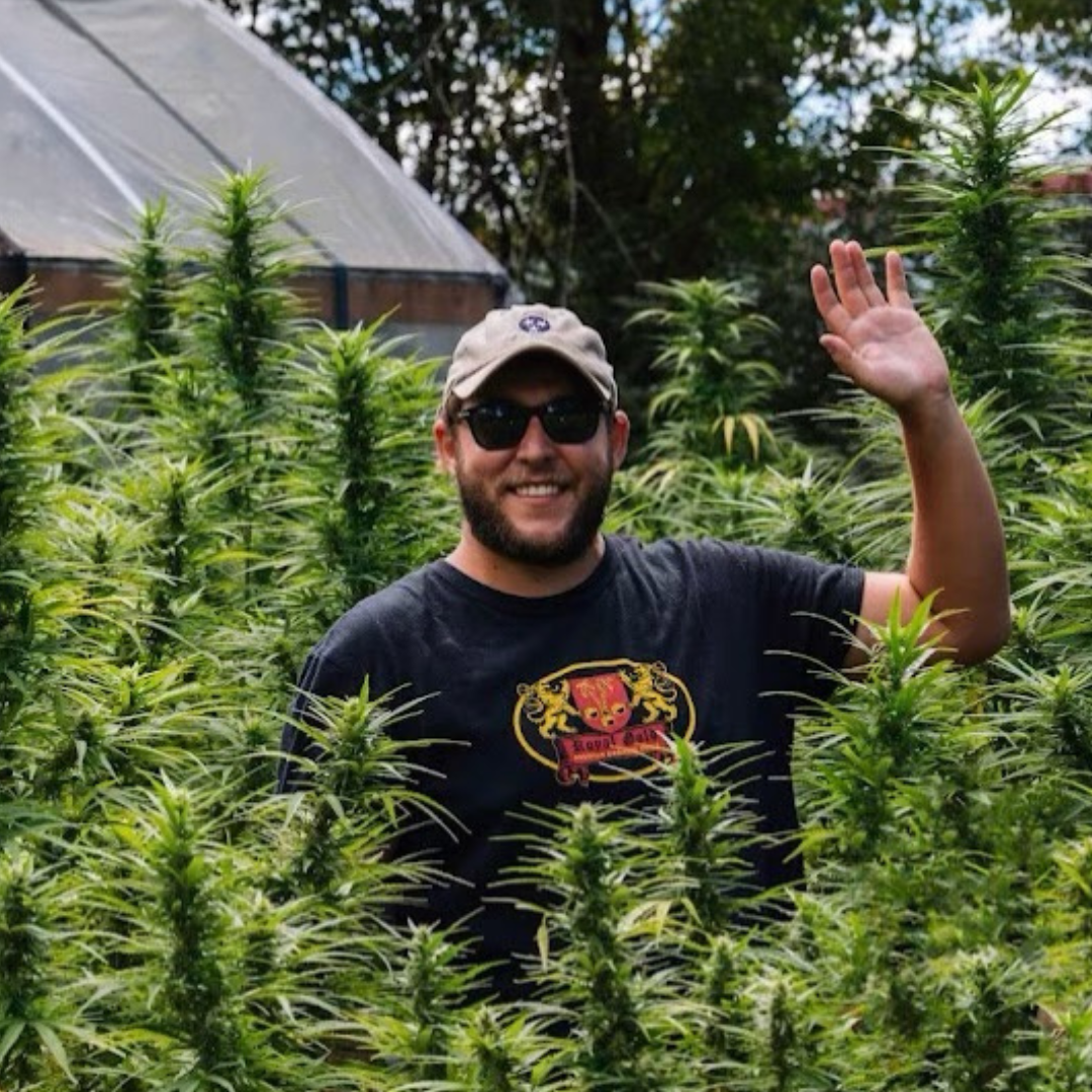 Collection of  in a gallery layout