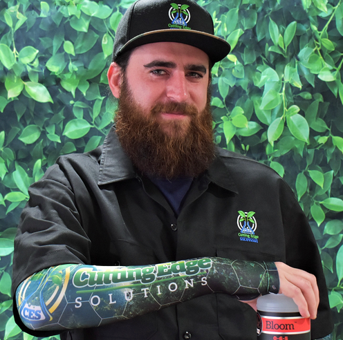 Collection of  in a gallery layout