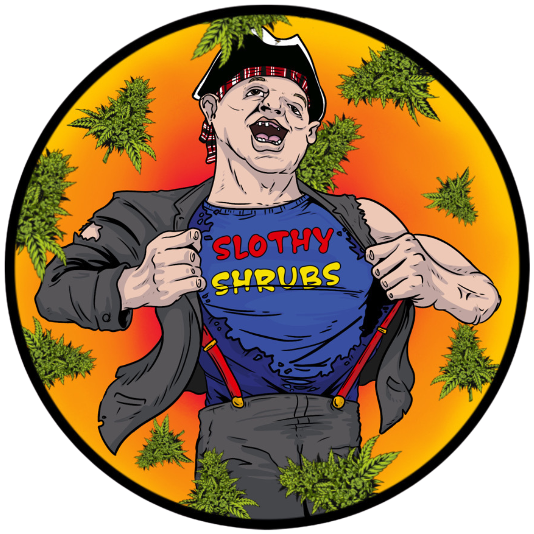 Collection of  in a gallery layout