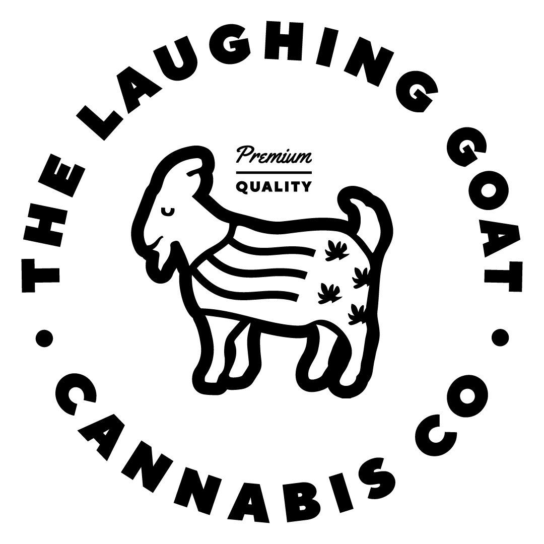 Collection of  in a gallery layout