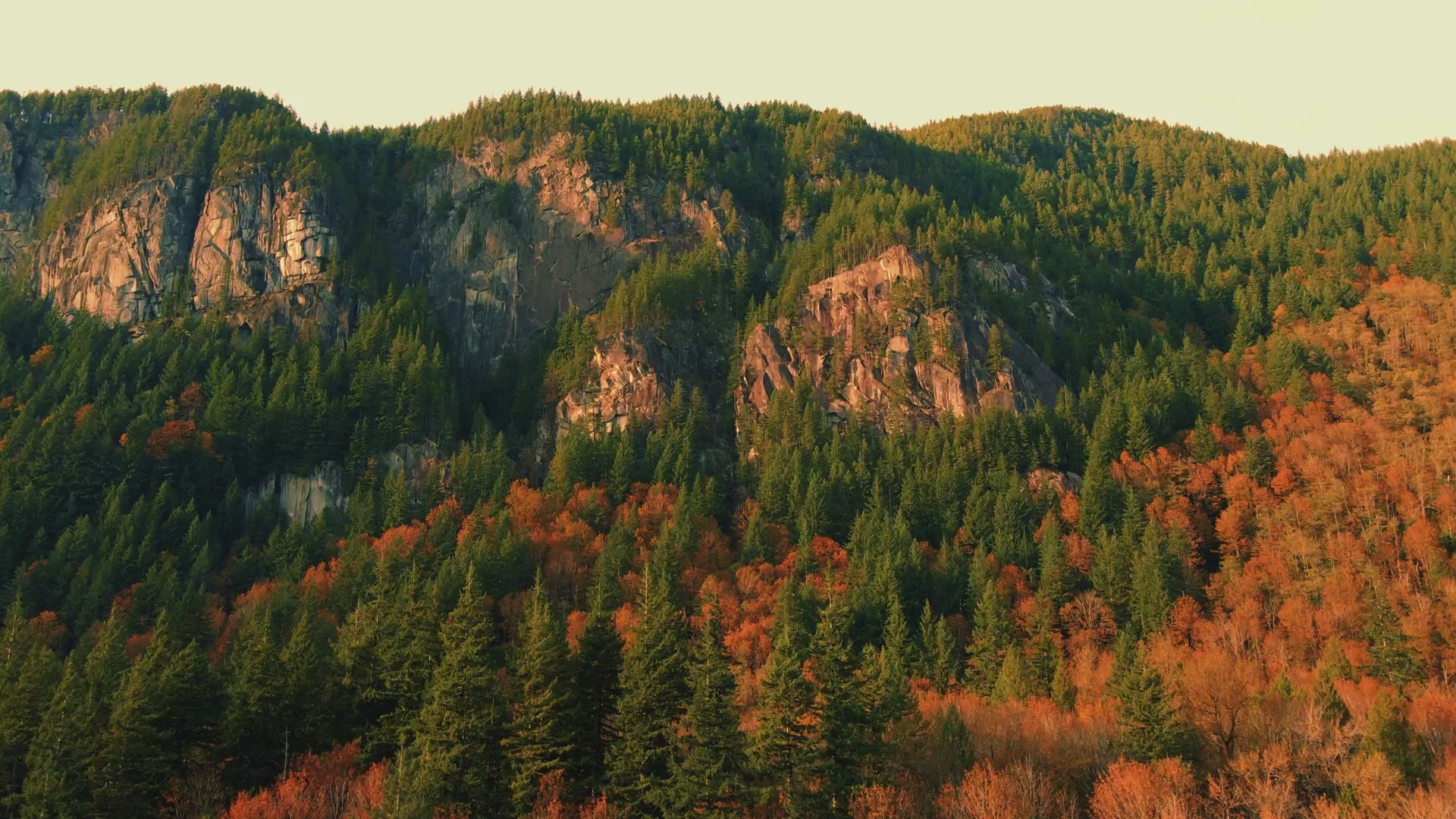 Collection of CEST pH Up Stock Tank Mixing Demo Video in a gallery layout