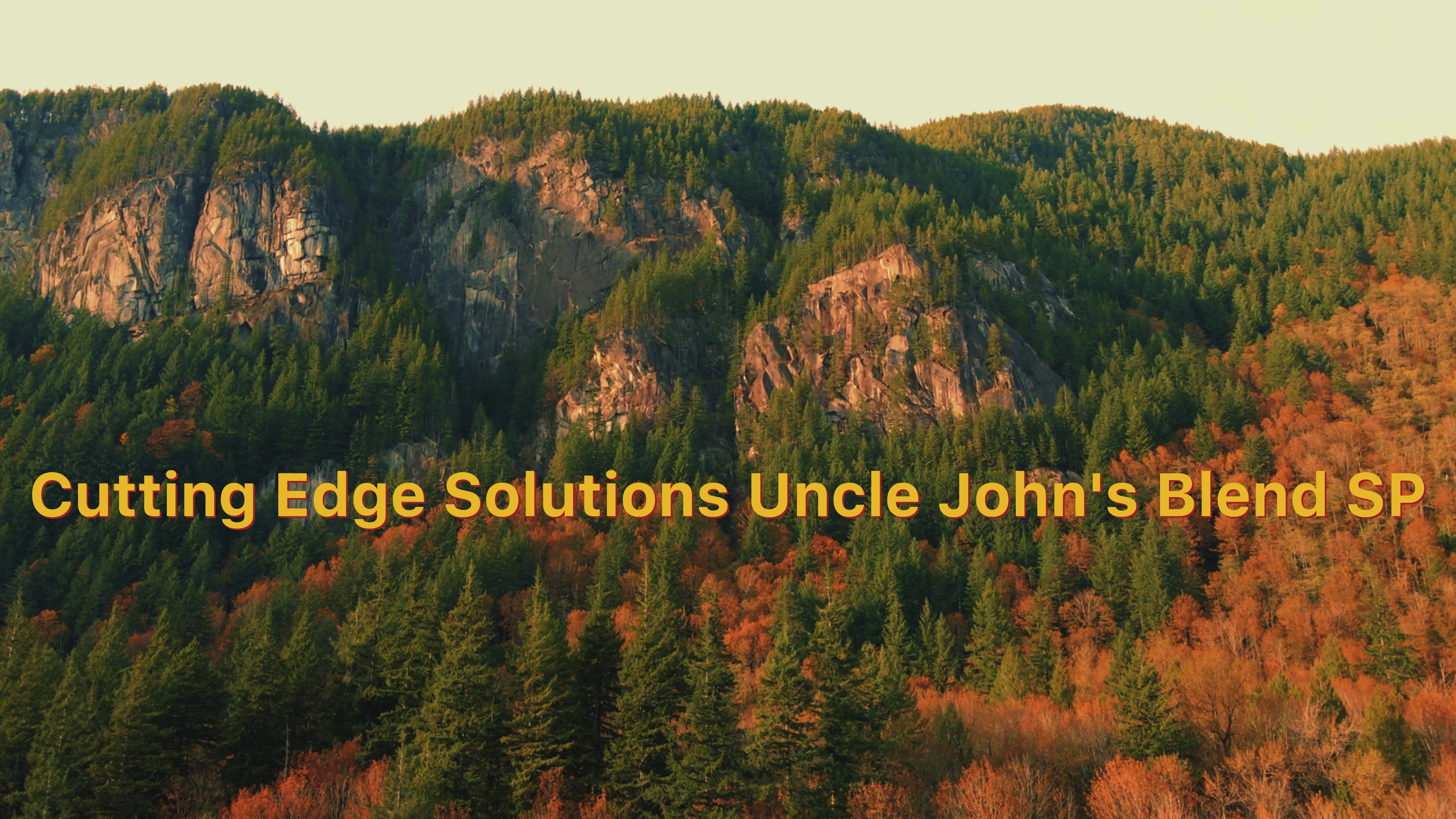 Collection of  in a gallery layout